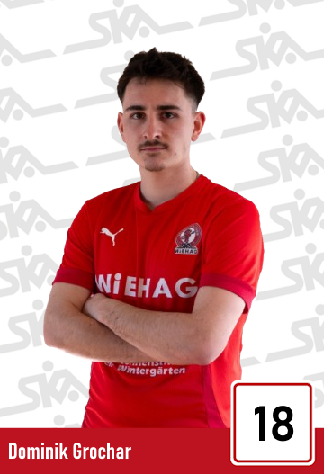 Dominik Grochar